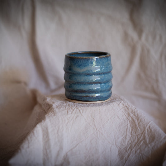 The Neptune Cups