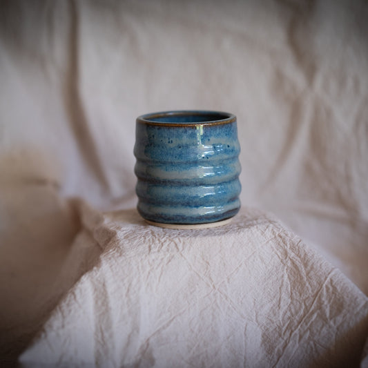 The Neptune Cups