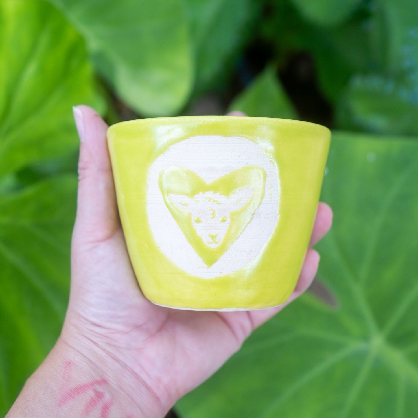 Lil Lamb Cup - Chartreuse